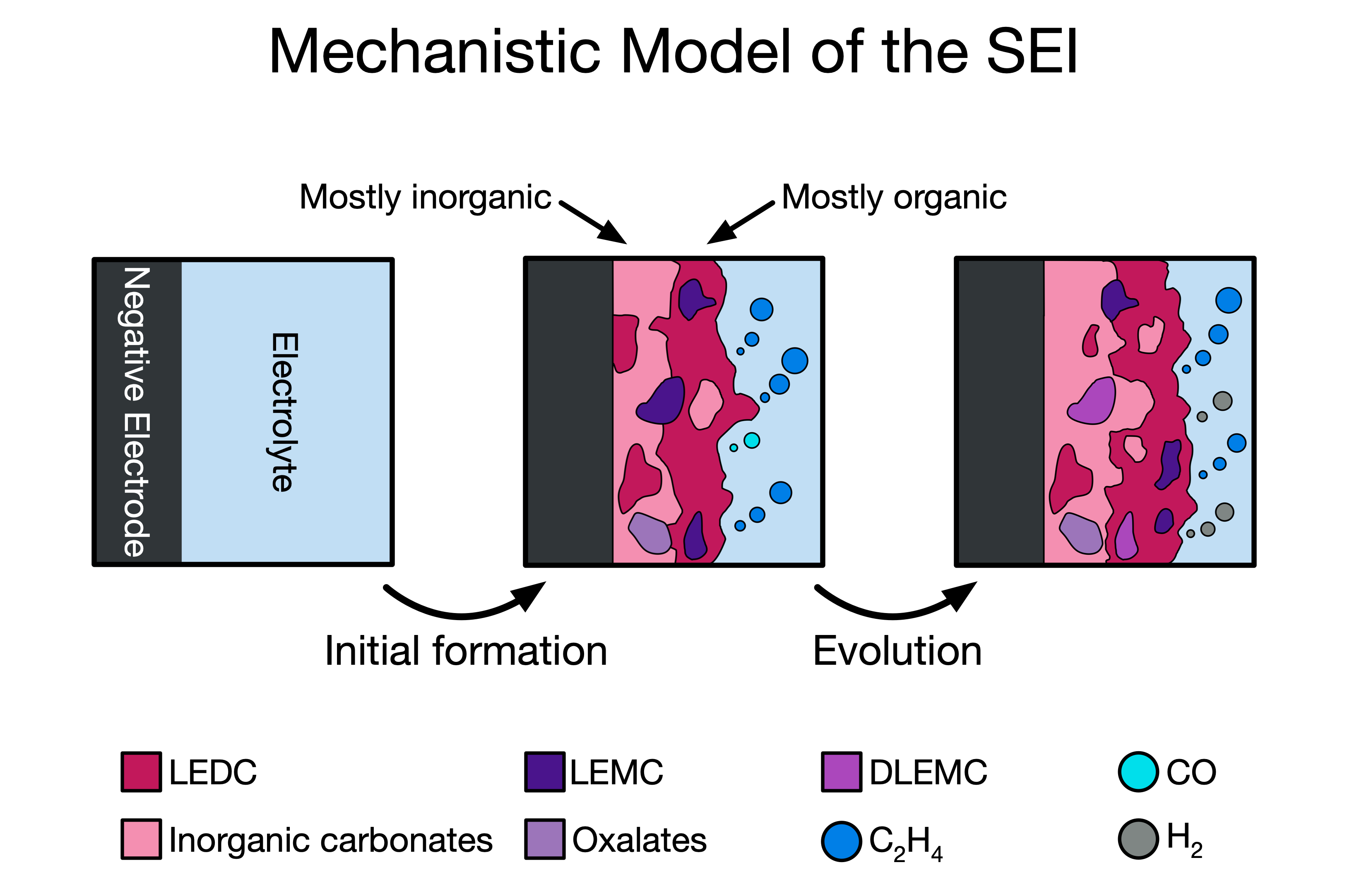 Microkinetic studies based on first-principles energy barriers provide mechanistic insight into solid electrolyte interphase formation